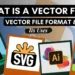 What Is a Vector File