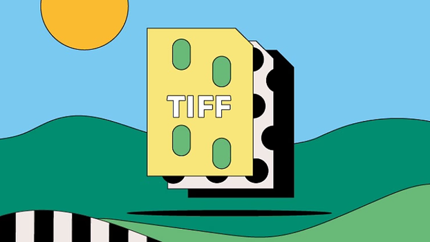 Is a TIFF File a Vector Format?
