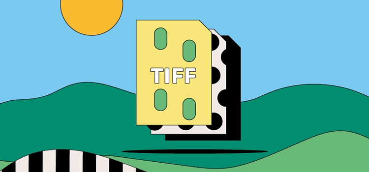 Is a TIFF File a Vector Format?