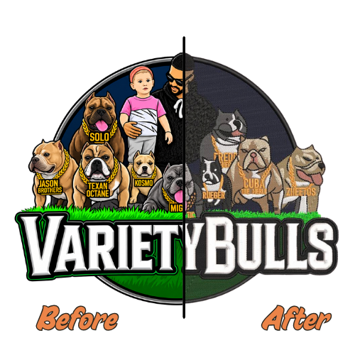 Embroidery Digitizing Services